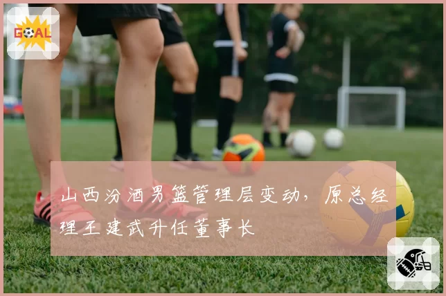 山西汾酒男篮管理层变动,原总经理王建武升任董事长